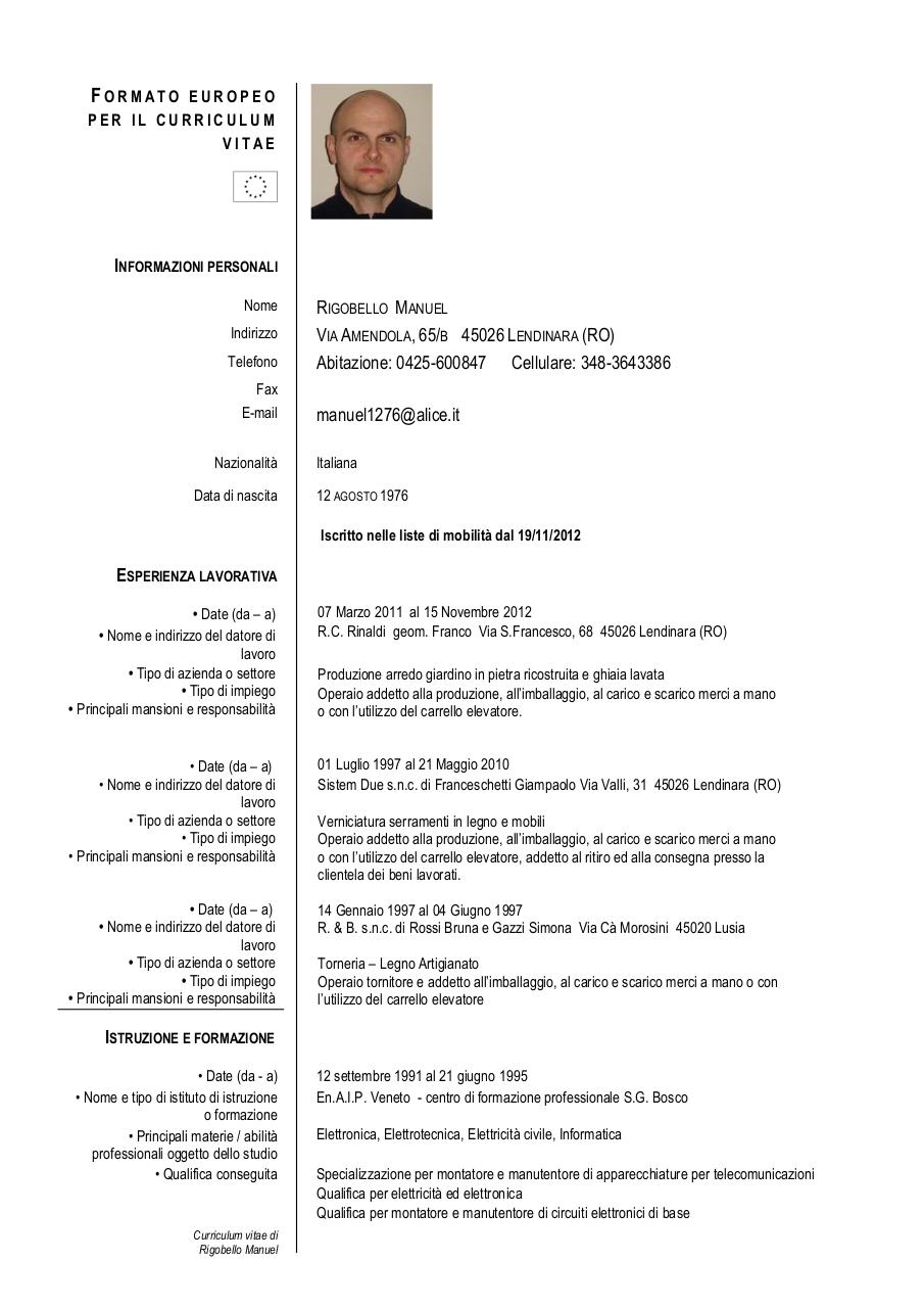 curriculum vitae formato europeo 2013 pdf